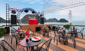 Alina Luxury Cruise 1 Day from 55$US